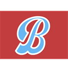 Bristol Little League